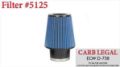 Picture of Chrysler 300 Closed Box Air Intake with Pro5 Oiled Filter 04-10 Chrysler 300 Corsa Performance