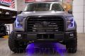 Picture of 2015-2016 Ford F-150 RGBW LED Boards Diode Dynamics