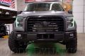 Picture of 2015-2016 Ford F-150 RGBW LED Boards Diode Dynamics