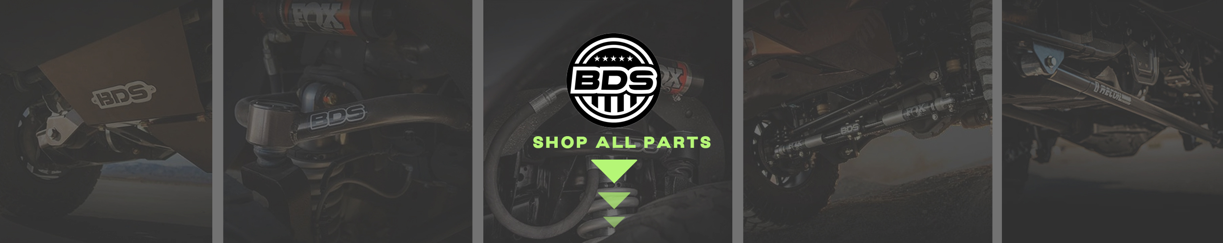 bds