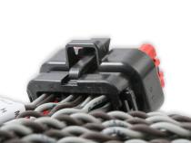MSD Coil Harness Pro 600 Replacement Main Harness To Ignition Coil MSD Ignition